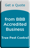 True Pest Control, Pest Control Services, Millbury, MA